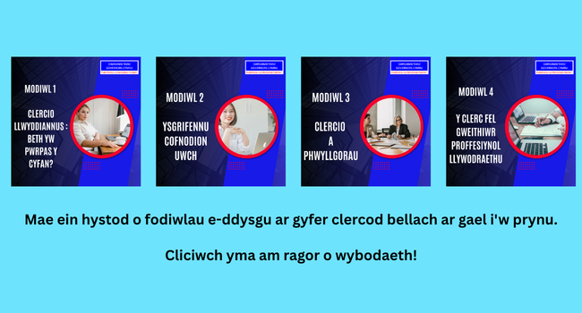 clerkmodulescy